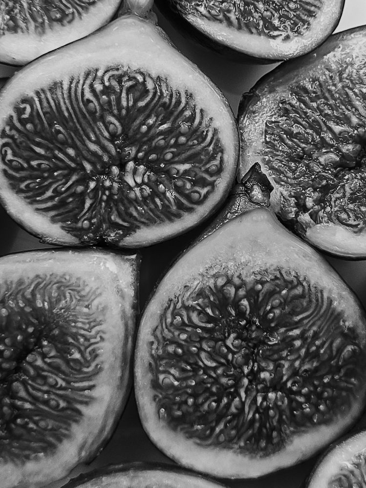 Photograph by Irina Alekseevskaya