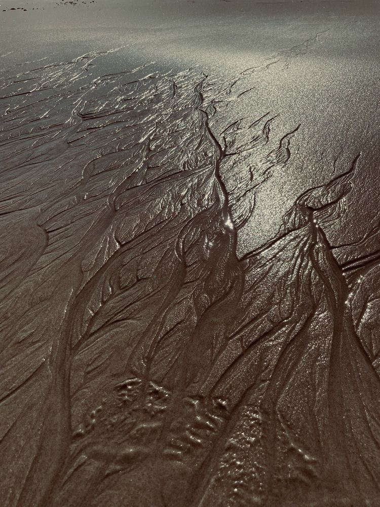 Фотография автора Olga Andriuc