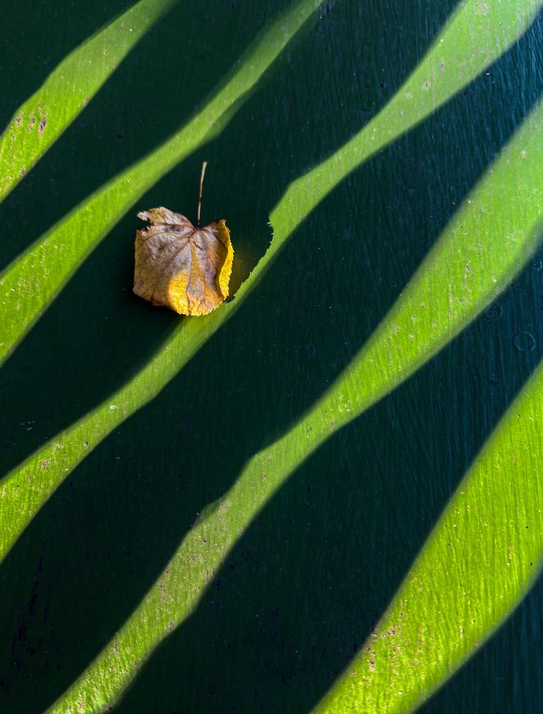 Photograph by Анна Стрелковская