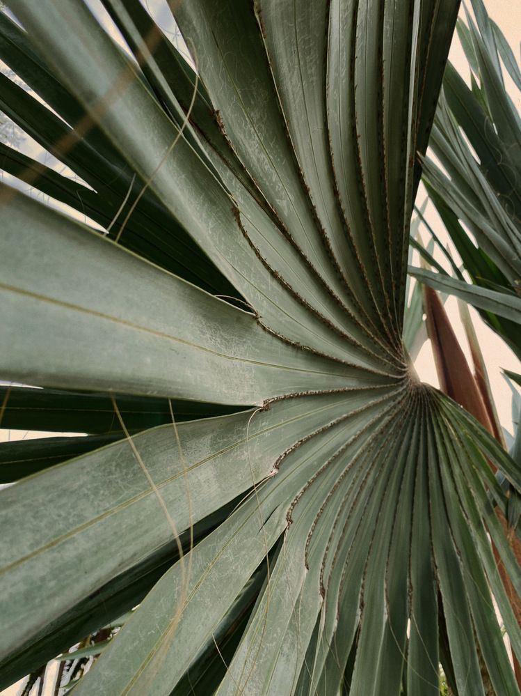 Photograph by Алёна Яцкевич