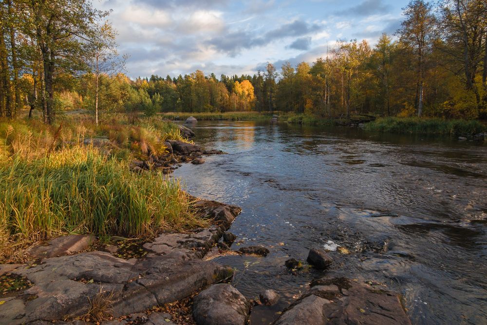 Photograph by Олег Бабурин