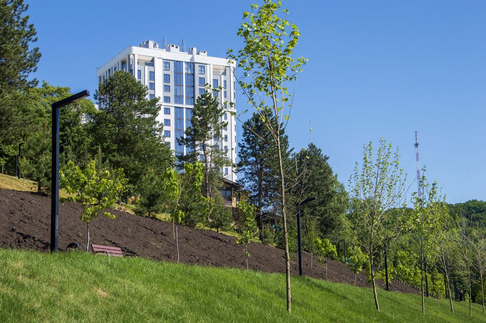 Photograph by Михаил Еремеев