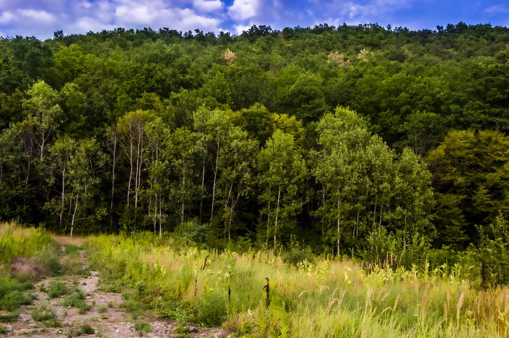 Photograph by Михаил Еремеев