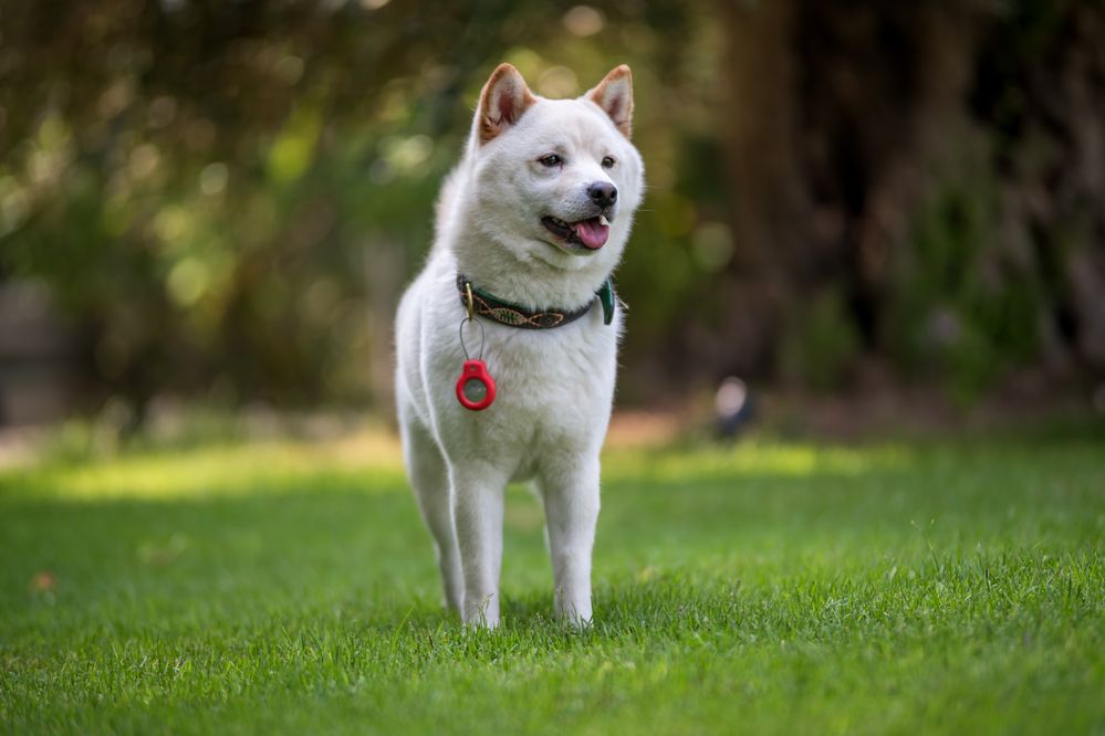 Photograph by Демьян Лопатов