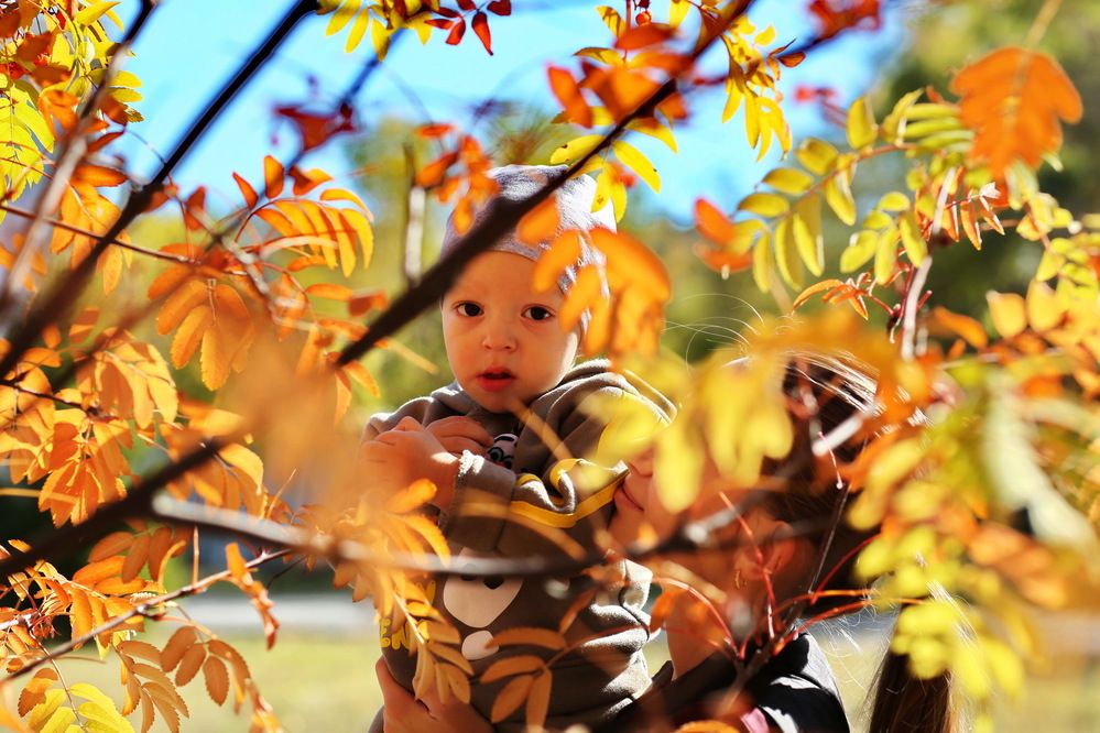 Photograph by Андрей Стародубцев