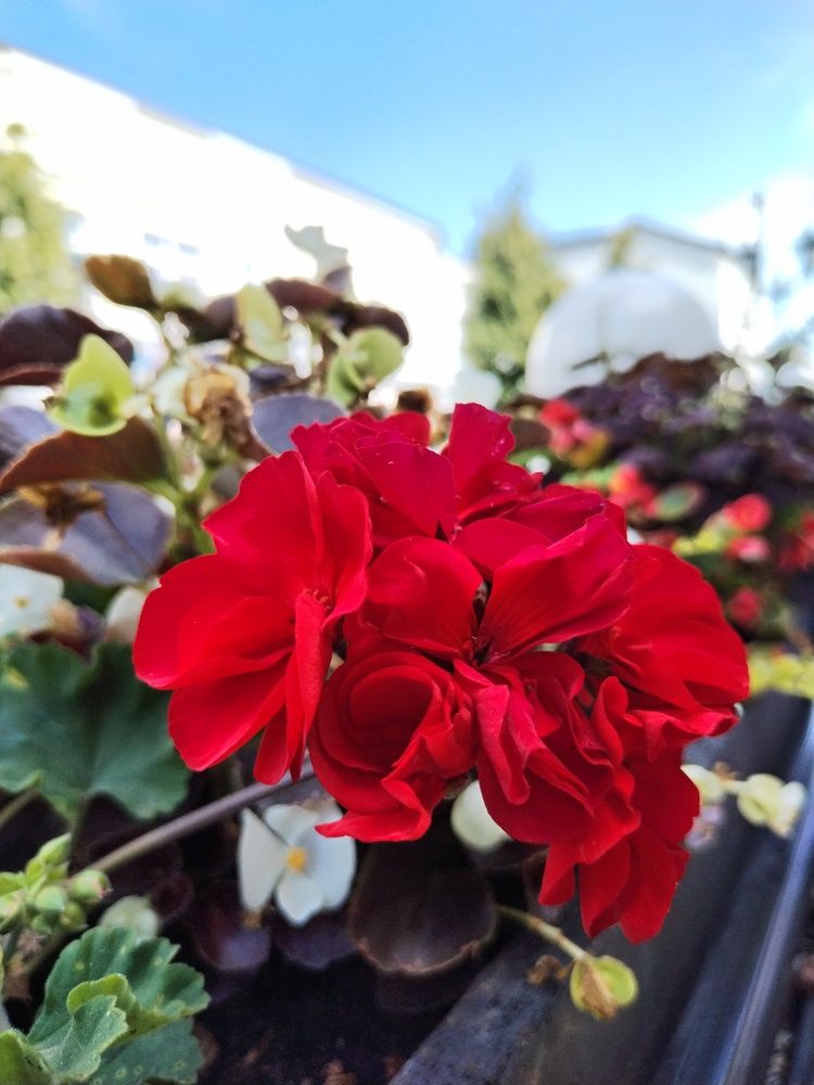 Photograph by Ирина Филиппова