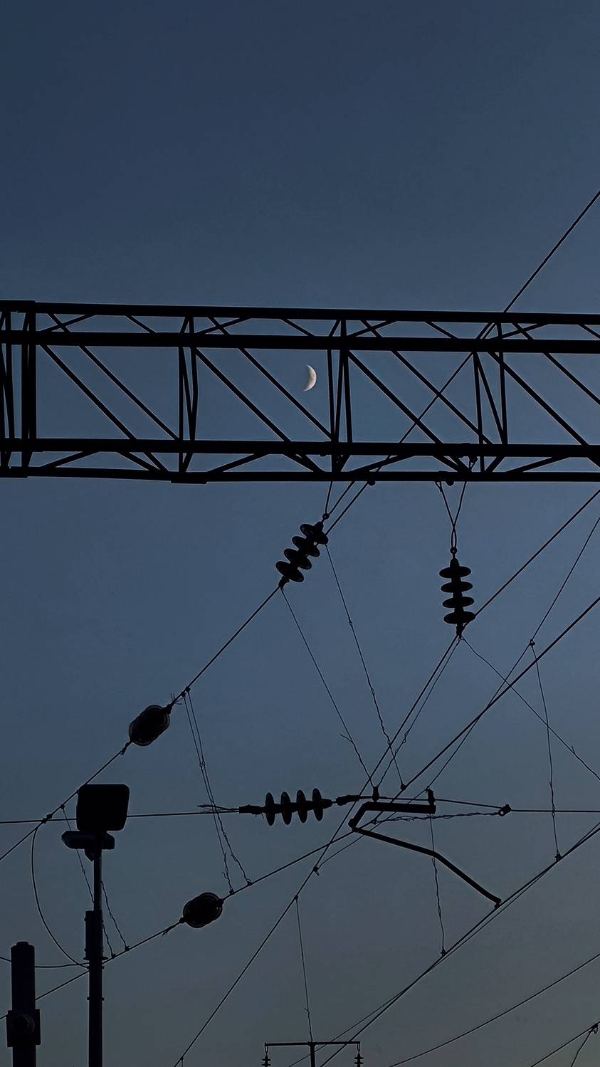Photo #12712392