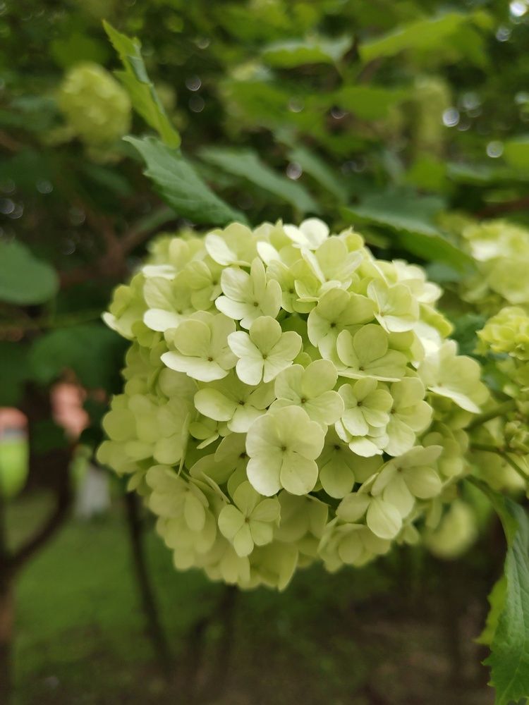 Photograph by Ирина Филиппова