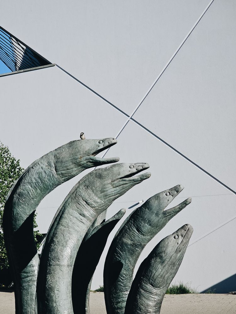 Фотография автора Ольга Шишук