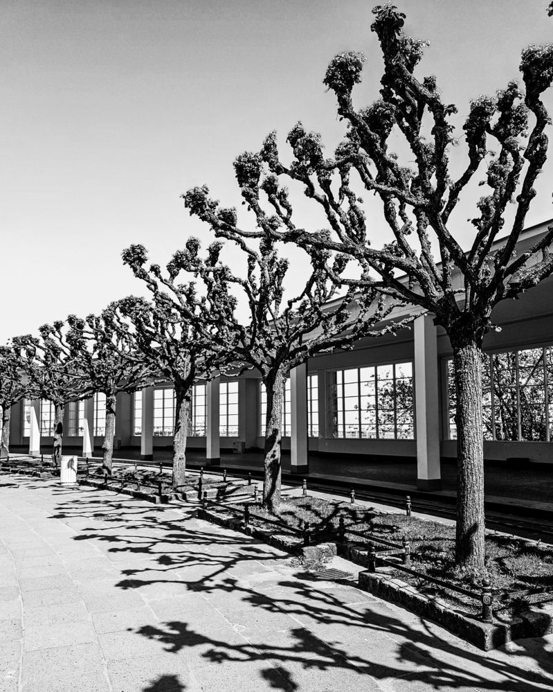 Фотография автора Ольга Шишук