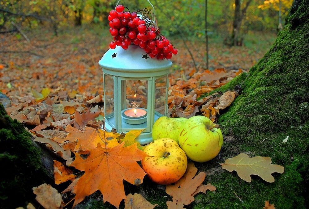 Photograph by Алексей Сиваков