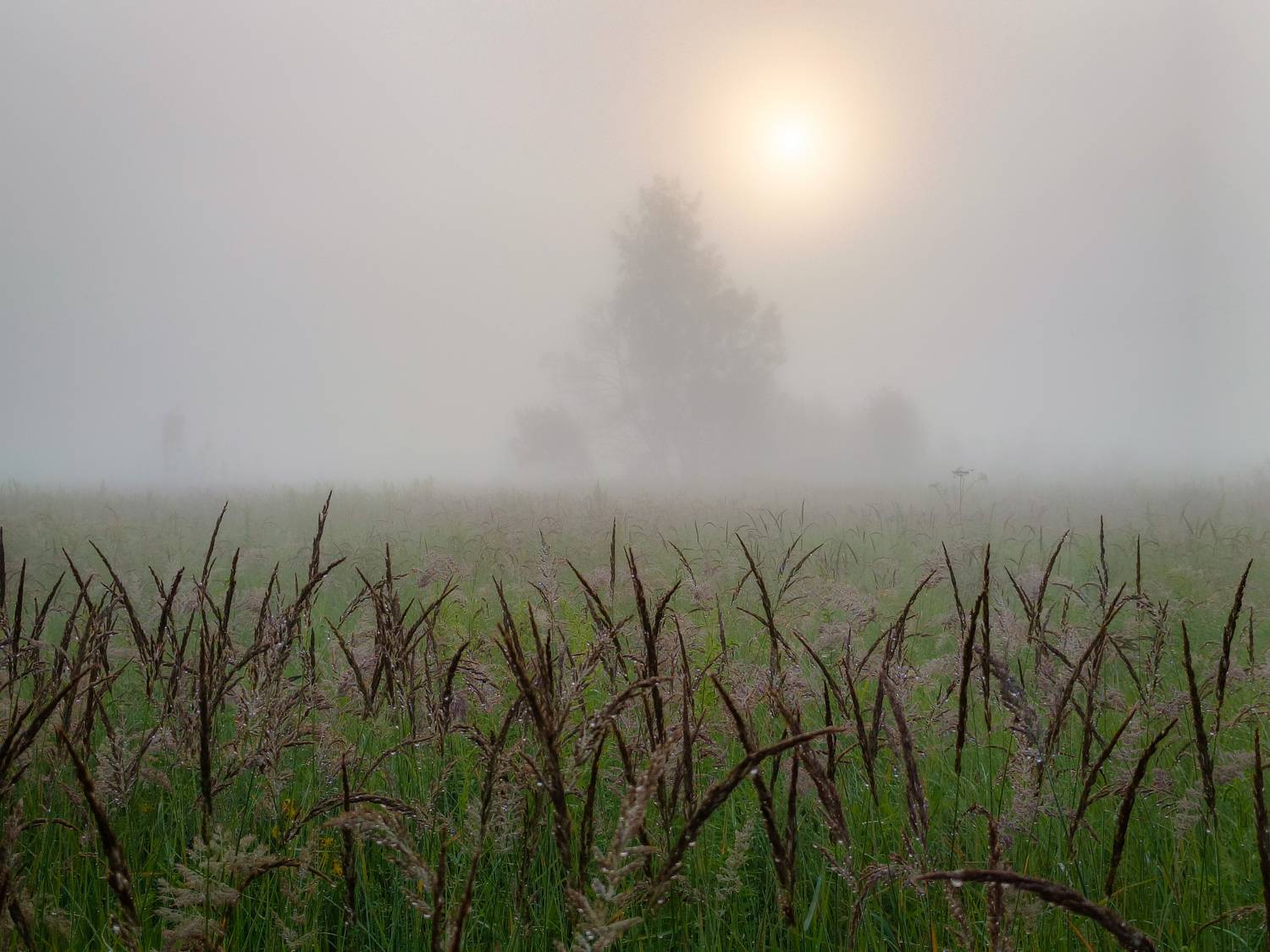 Photo #12712498