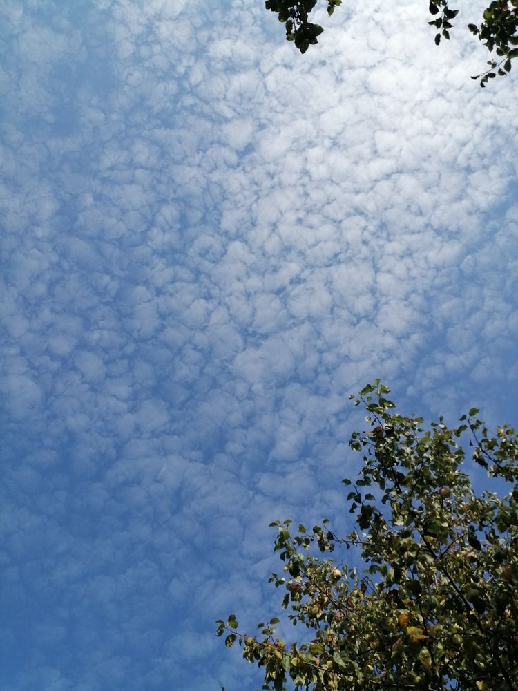 Фотография автора Кузьмичева Екатерина Васильевна