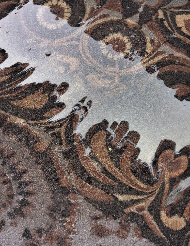 Photograph by Inna Belinskaya