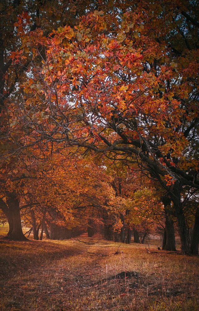 Photograph by Анастасия Семилетова