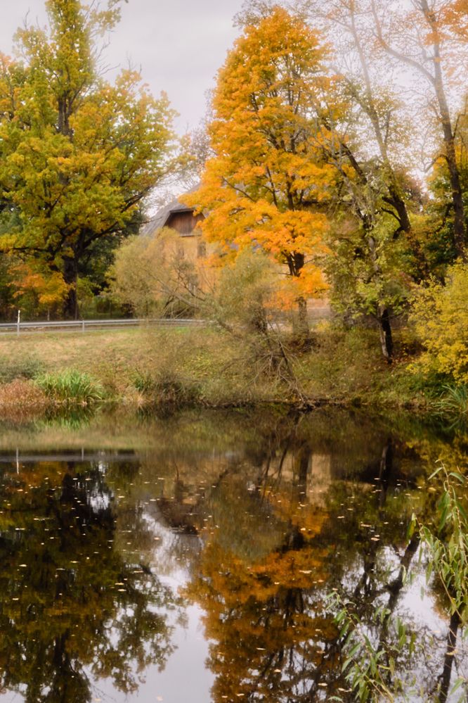 Photograph by Kaspars Mitulis