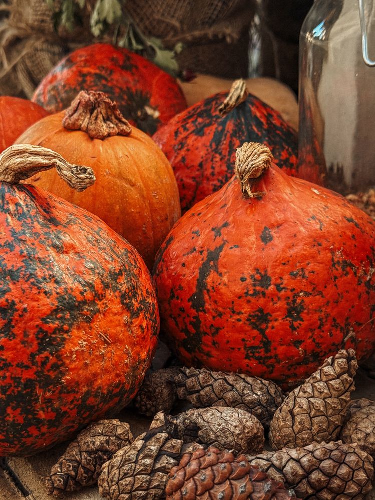 Photograph by Inna Belinskaya