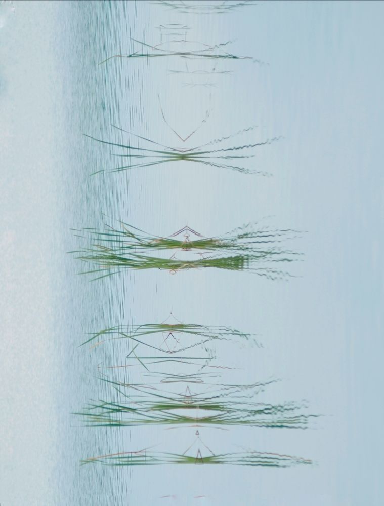 Photograph by Александра Шилова