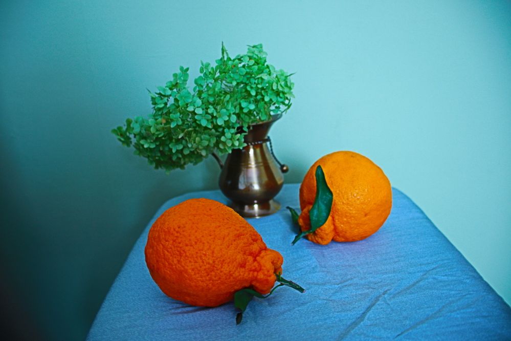 Photograph by Nadin Gaaze