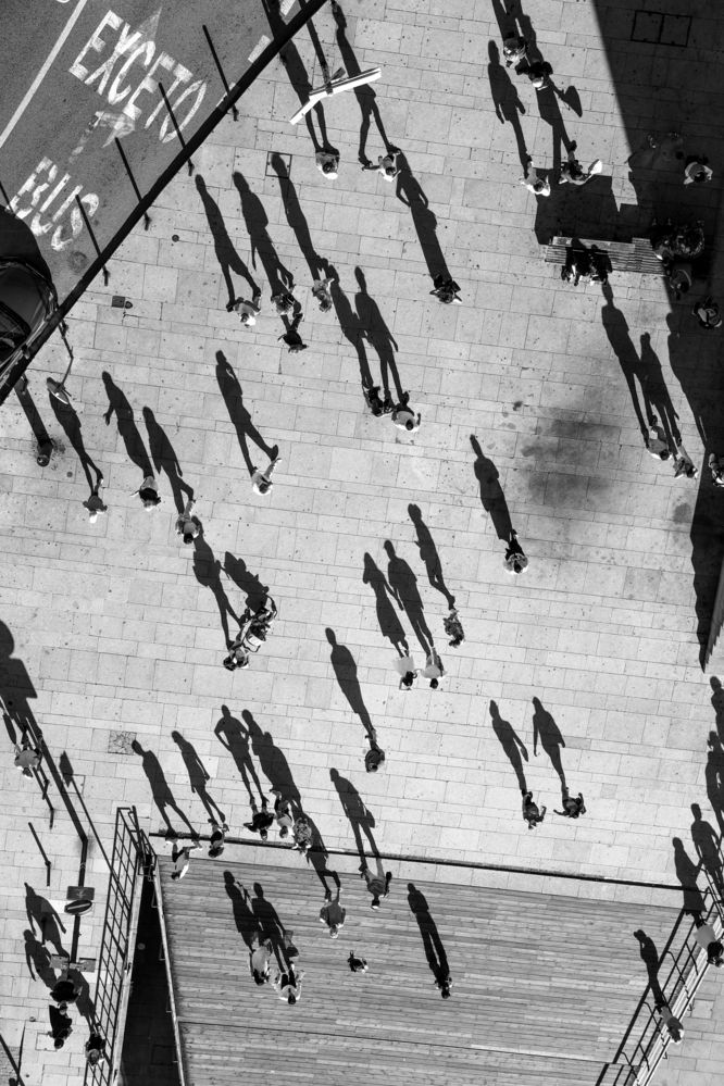 Photograph by Luís Sérgio Gonçalves