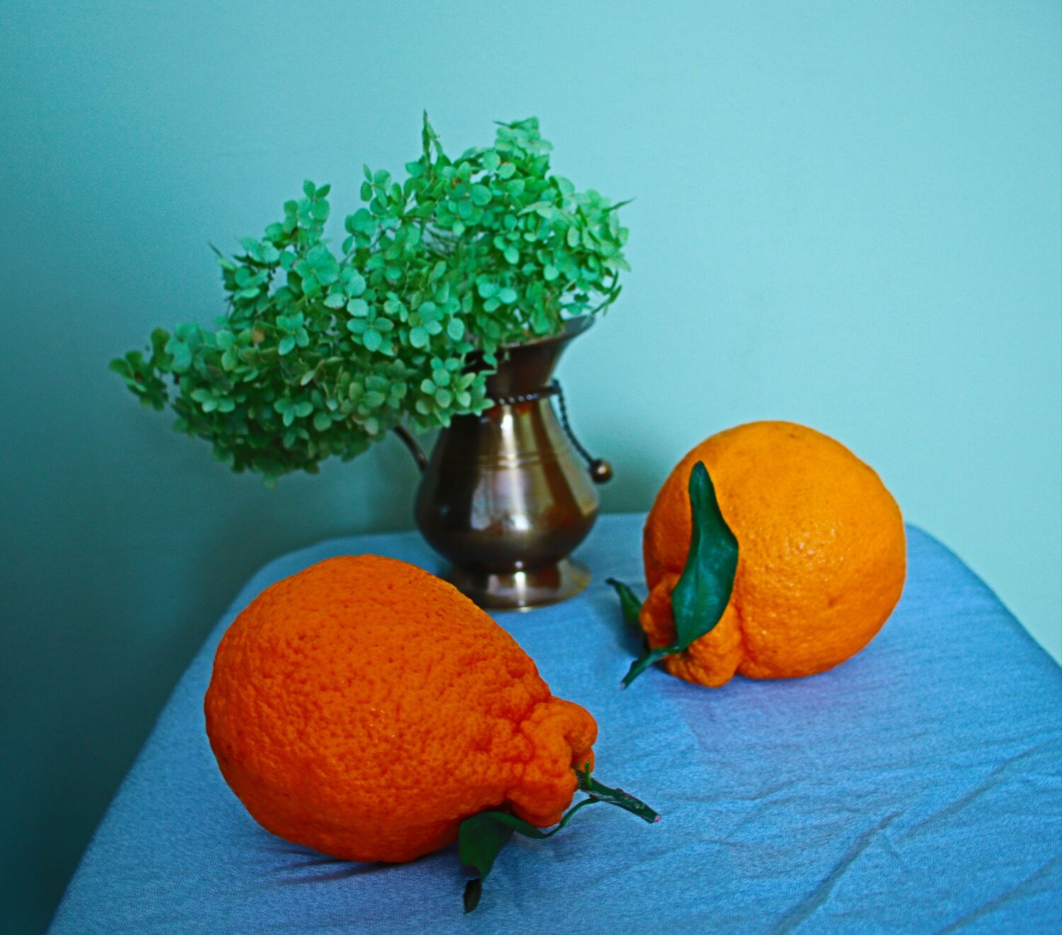 Photo #12712809