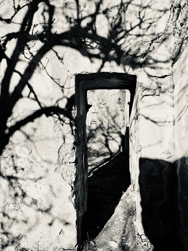 Photograph by Lesya Mikheeva