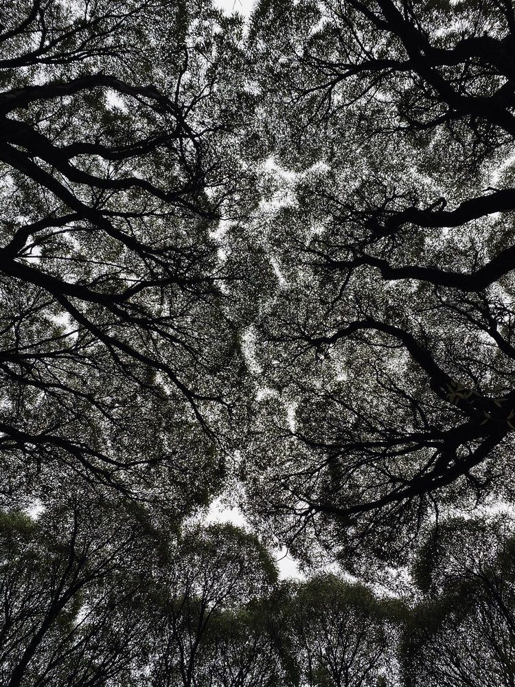 Photograph by Lesya Mikheeva