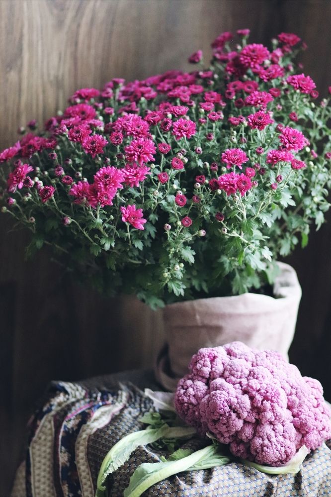 Photograph by Nadin Gaaze