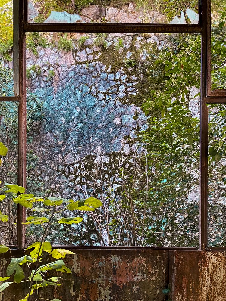 Photograph by Светлана Карнаух