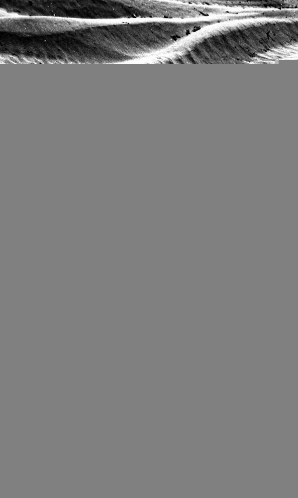 Photograph by Лада Денисова