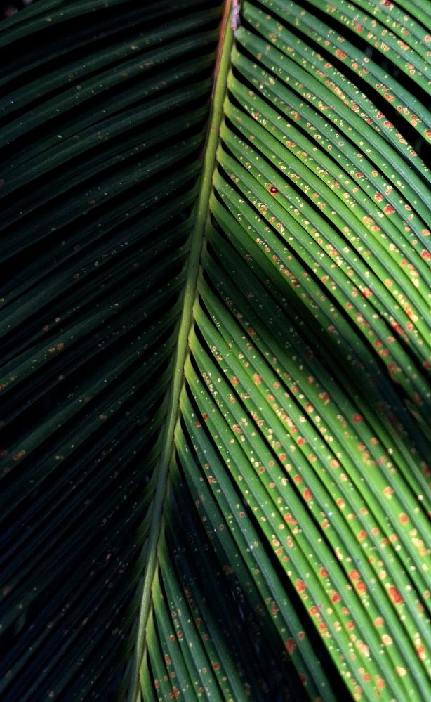 Photograph by Лада Денисова