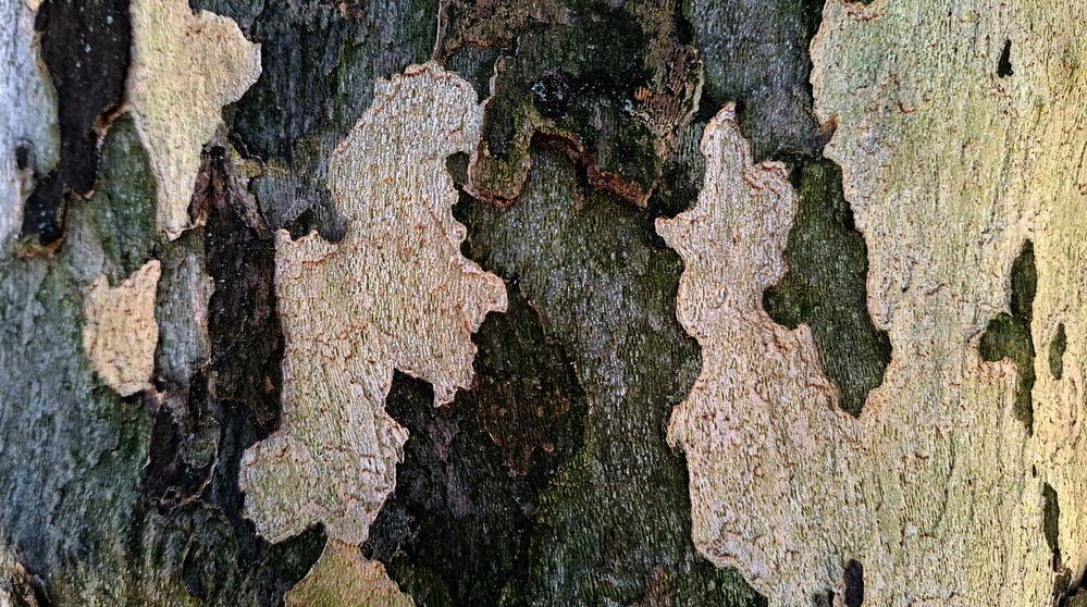 Photograph by Лада Денисова