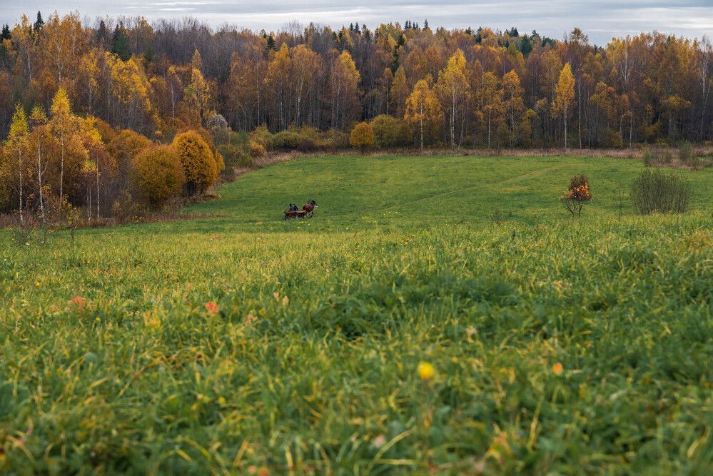 Photograph by Светлана Гаврикова