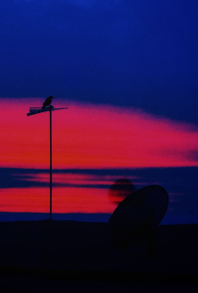 Photograph by Basma rashwan