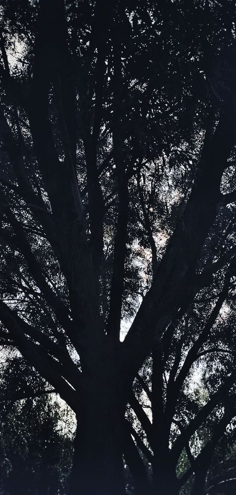 Photograph by Лидия Баженова