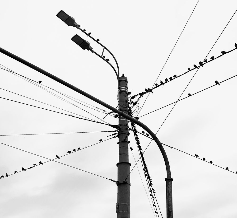 Photograph by Нелли Гоева