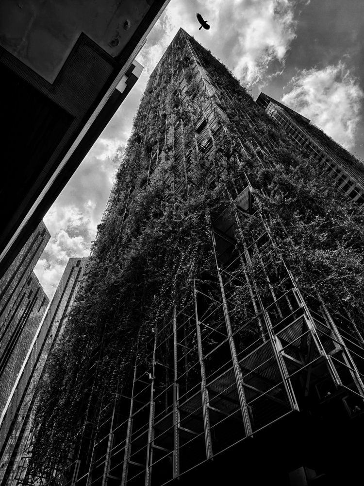 Фотография автора robot