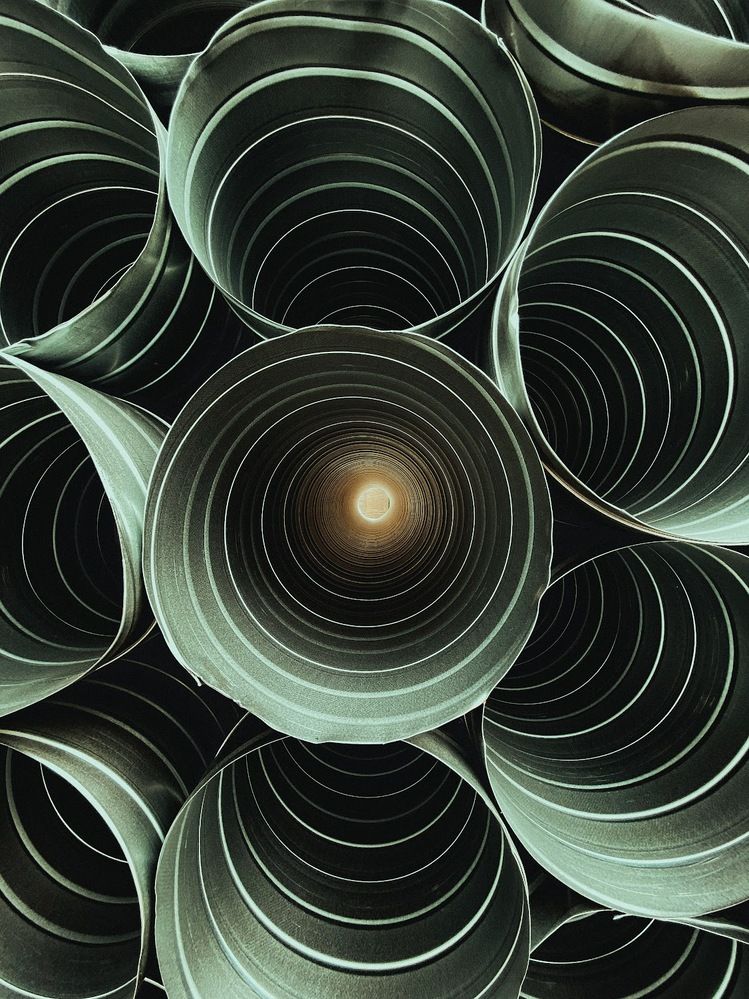 Photograph by Liliia Androsova