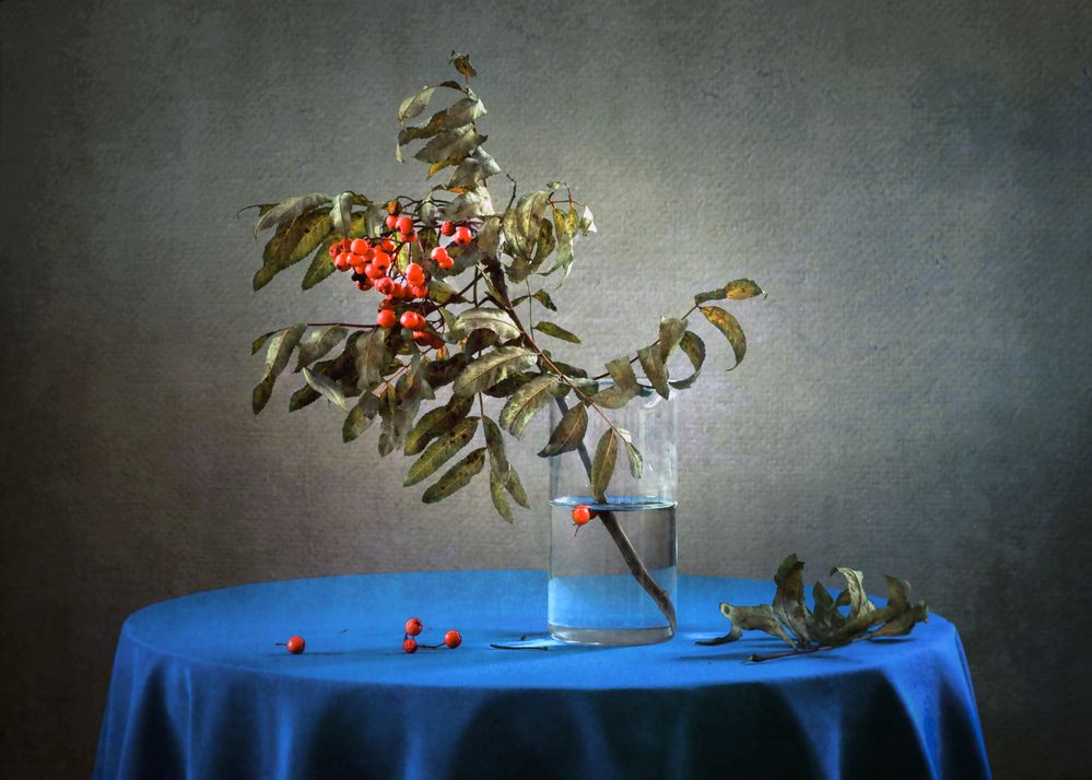 Рябиновое утро