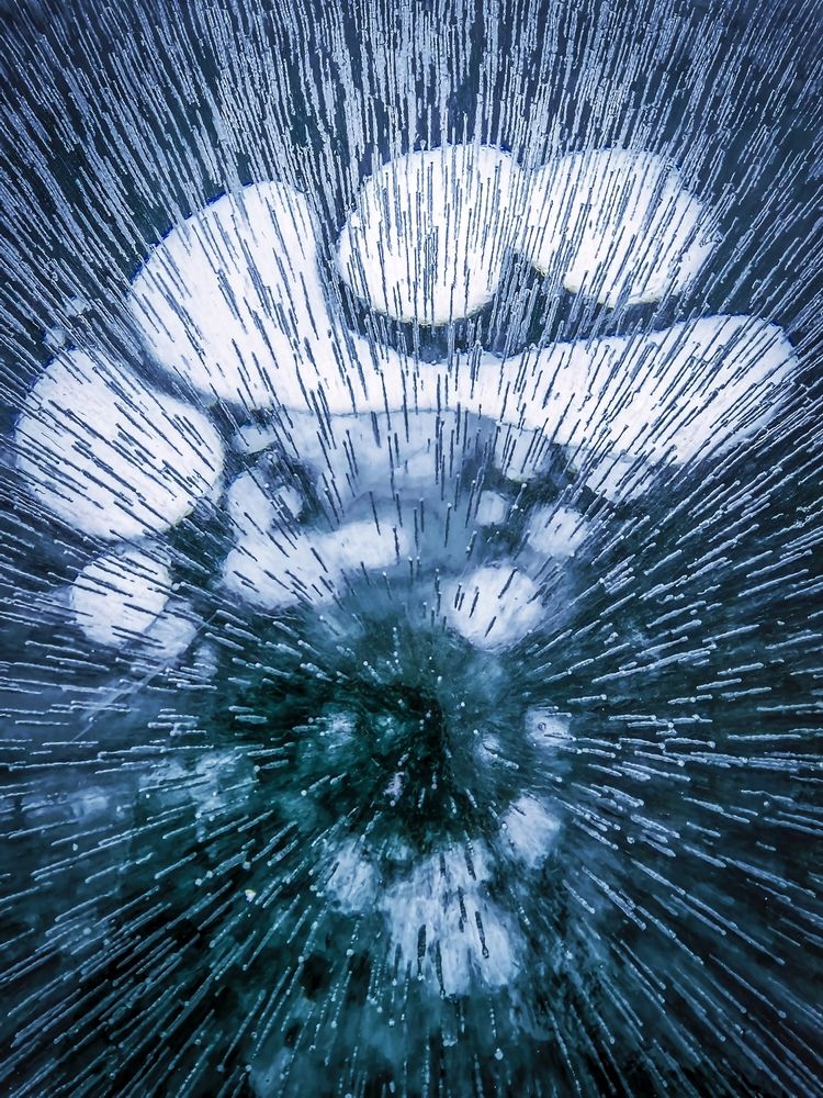 Северный ветер