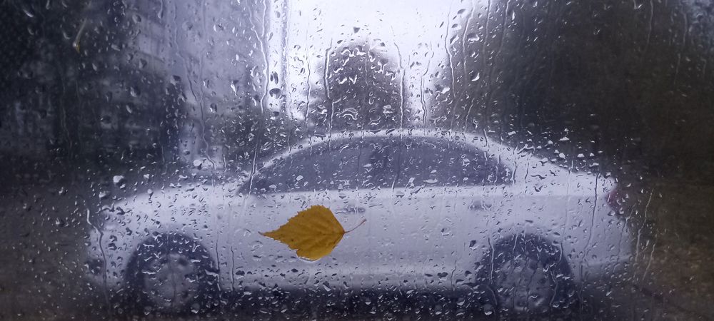 Photograph by Александр Новиков