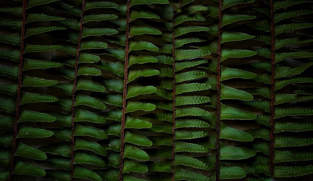 Photograph by Roberto Hagemann