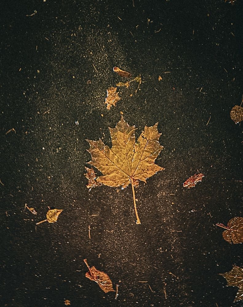 Photograph by Александр Михайлович