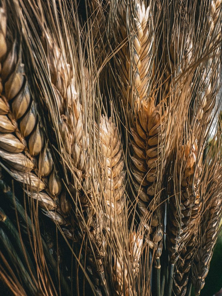 Photograph by Александр Михайлович