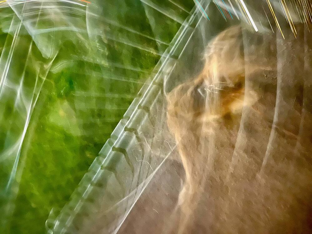 Photograph by Очева Наталья Александровна