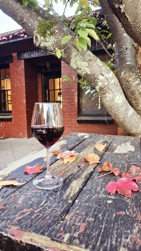 Photograph by Luba Kurchina