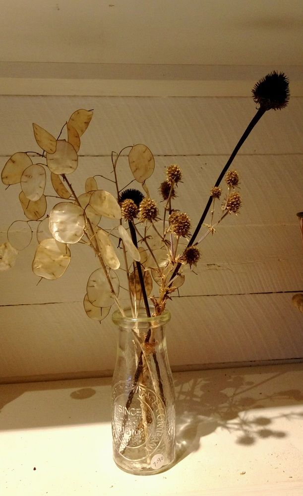 Photograph by Luba Kurchina