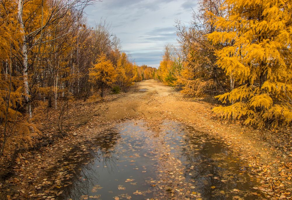 Photograph by Михаил Мархинин