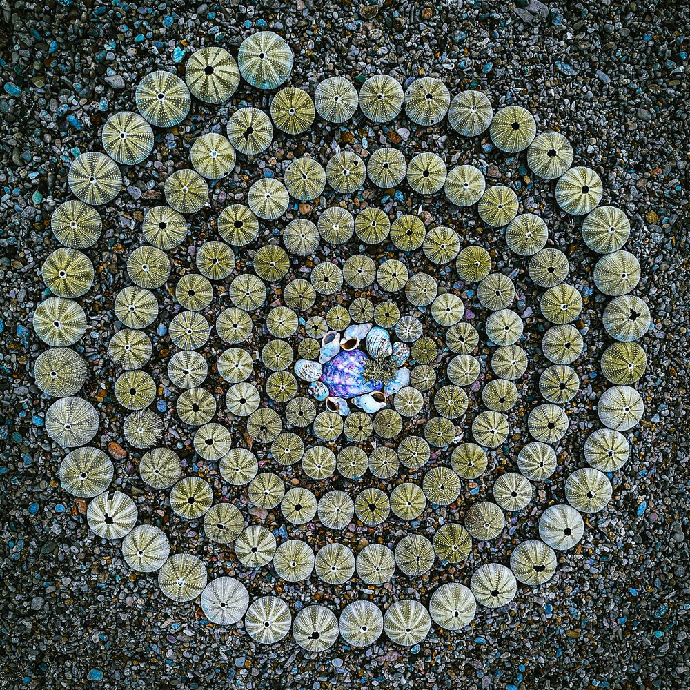 Photograph by Ольга Мусиенко