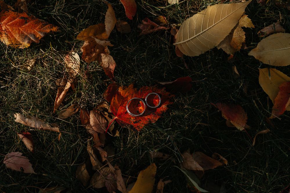 Photograph by Сергей Андрейчук